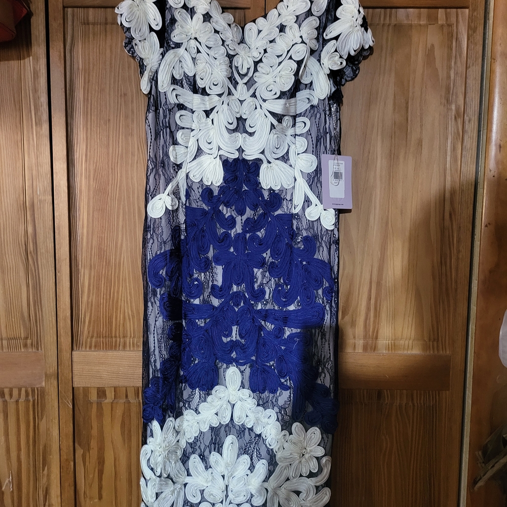 JS Collections Navy and White Lace Dress